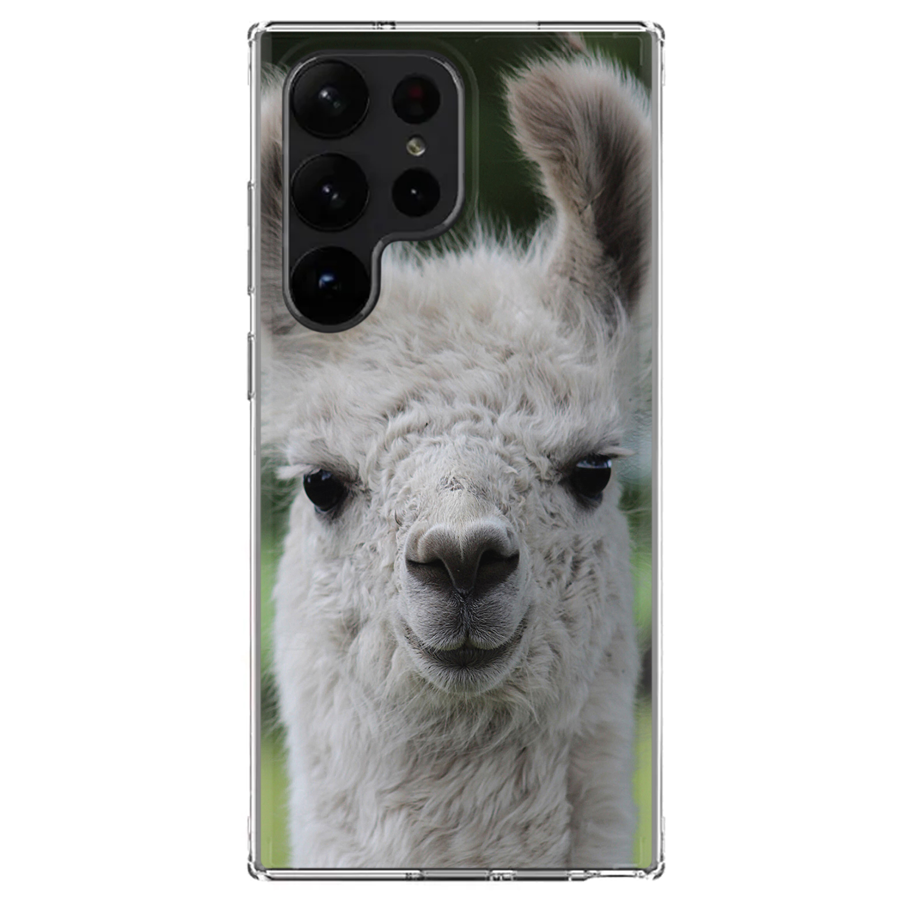 ShockProof TPU Phone Case+Glass For Samsung Galaxy S22 S23/S23+/S23